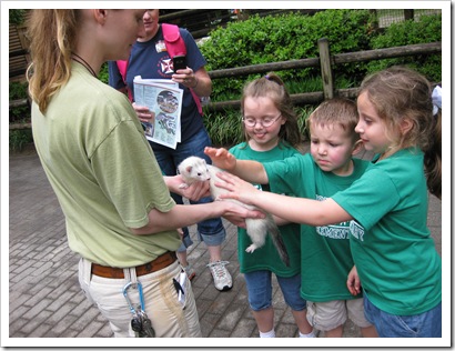 5.3.10 Isaac's Kindergarten Zoo Trip (21)