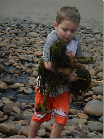 6.26.13 beach pictures (59)